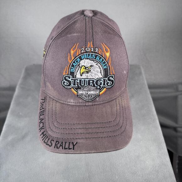 Harley-Davidson Sturgis Hat Cap Fitted Mens One Size Black Hills Rally 2013 - Picture 1 of 8